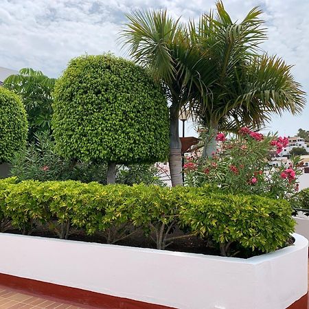 Ocean Breeze And Seaview Resort Costa Adeje  Exteriér fotografie