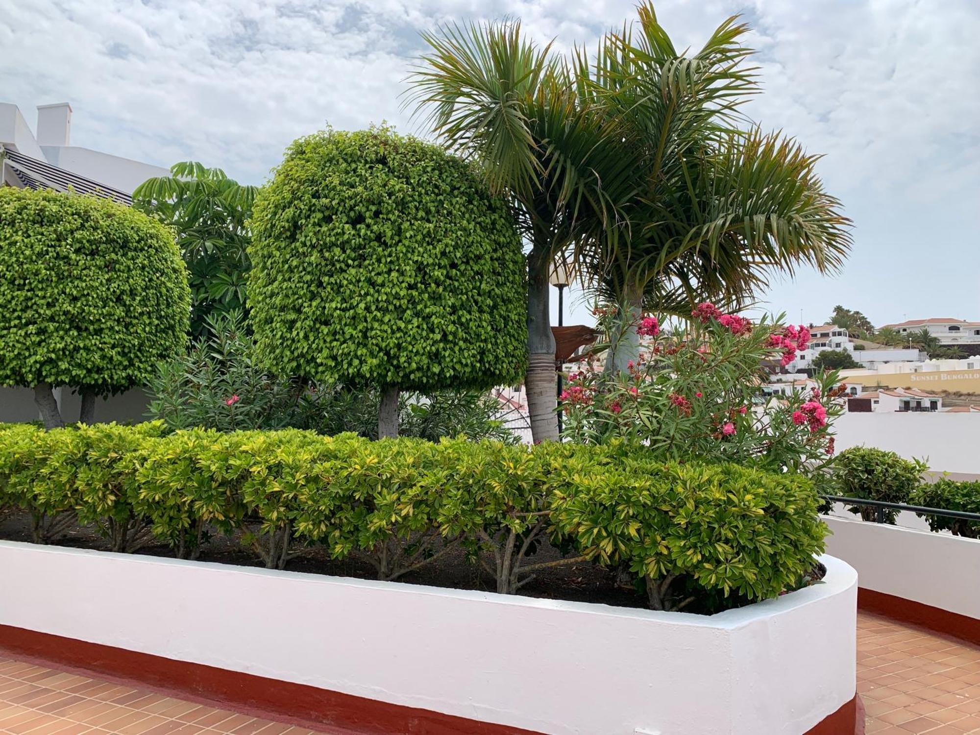 Ocean Breeze And Seaview Resort Costa Adeje  Exteriér fotografie